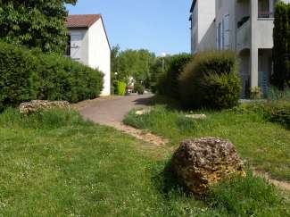 DSCN0119.JPG